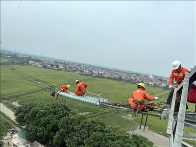 TTĐ Hà Nội tăng cường công tác sửa chữa cắt điện để đảm bảo vận hành an toàn các đường dây 220kV, 500kV các tháng cuối năm 2022