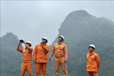 Tăng cường kiểm tra, ngăn ngừa sự cố đường dây cao áp trong điều kiện thời tiết bất thường, đảm bảo cung cấp điện dịp tết Nguyên đán Giáp Thìn 2024