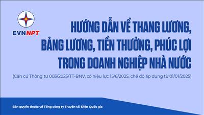 Hướng dẫn về thang lương, bảng lương, tiền thưởng, phúc lợi trong doanh nghiệp nhà nước