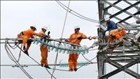 Hoàn thành thay thế cách điện đường dây 220kV mạch kép Thái Bình – Tiền Hải – Trực Ninh: An toàn, đúng tiến độ, vượt khó trong điều kiện thời tiết xấu
