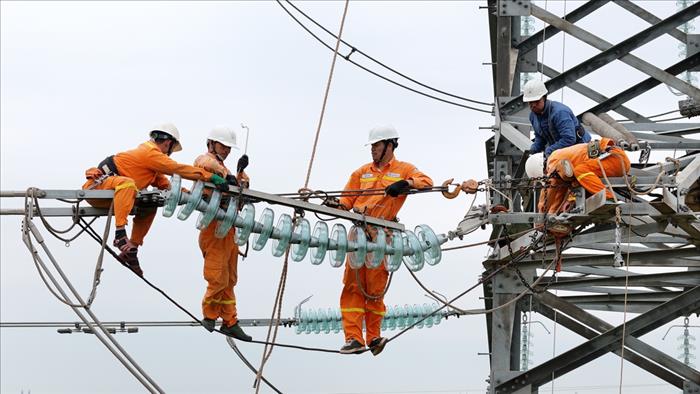 Hoàn thành thay thế cách điện đường dây 220kV mạch kép Thái Bình – Tiền Hải – Trực Ninh: An toàn, đúng tiến độ, vượt khó trong điều kiện thời tiết xấu
