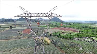 Hoàn thành sửa chữa, thay thế cách điện 47 vị trí đường dây 500kV Nghi Sơn 2 – Nho Quan, nâng cao độ tin cậy truyền tải điện mùa nắng nóng