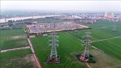 PTC1 chủ động xử lý khiếm khuyết, bảo đảm vận hành an toàn đường dây 220kV Nhiệt điện Thái Bình 2 – Trực Ninh