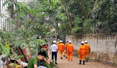 Truyền tải điện Tây Bắc quyết liệt xử lý vi phạm hành lang bảo vệ an toàn đường dây cao áp