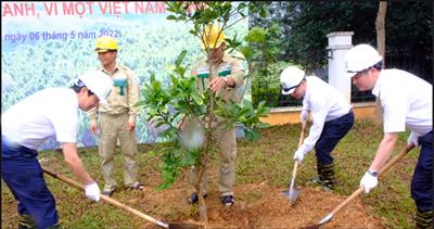 Công đoàn EVNNPT hưởng ứng phong trào “Tết trồng cây” năm 2022