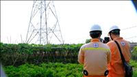 Những người giữ mạch nguồn không ngơi nghỉ
