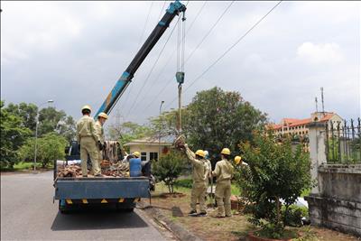 Lưới truyền tải điện của PTC1 chủ động ứng phó với thiên tai, bão lũ