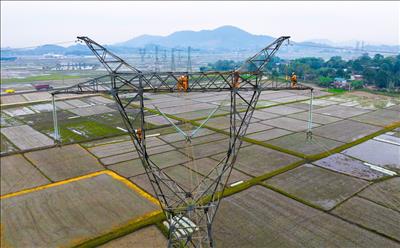 Hoàn thành sửa chữa, bảo dưỡng, xử lý đường dây 500kV Trung – Bắc nâng cao năng lực truyền tải điện thời gian tới