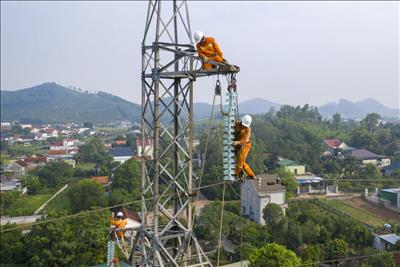 Hoàn thành thi công sửa chữa đường dây 220kV Ba Chè - Hưng Đông