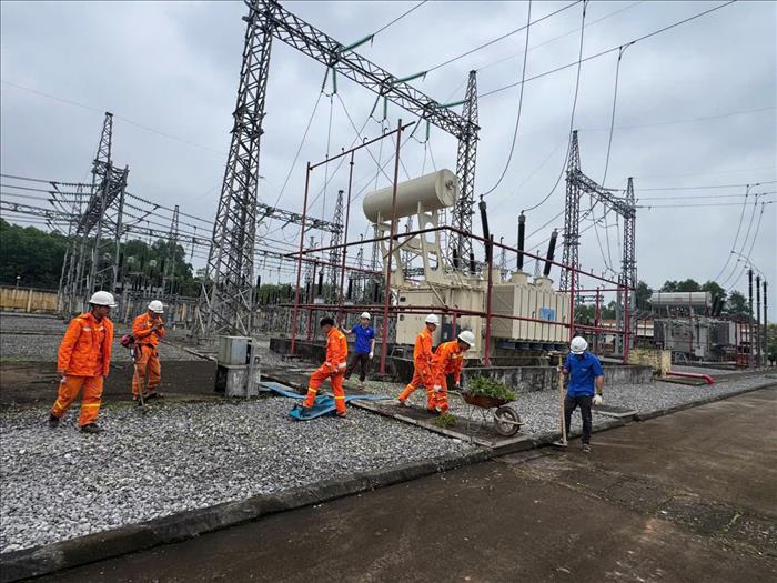 Đoàn Thanh niên Đội Truyền tải điện Quảng Trị tổ chức phong trào xanh - sạch - đẹp