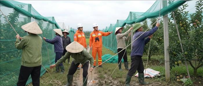 Chủ động chằng néo trước bão, bảo vệ tài sản, bảo đảm an toàn lưới điện! 