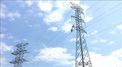 TTĐ Phú Yên nâng cao độ tin cậy lưới điện truyền tải đảm bảo vận hành an toàn trước các diễn biến bất thường của thời tiết