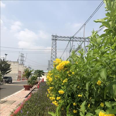 Đẩy mạnh ứng dụng công nghệ số góp phần giảm chi phí trong hoạt động sản xuất của Truyền tải điện miền Đông 2