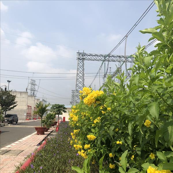 Đẩy mạnh ứng dụng công nghệ số góp phần giảm chi phí trong hoạt động sản xuất của Truyền tải điện miền Đông 2