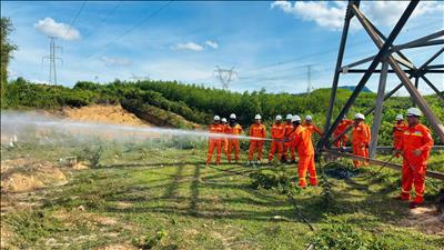Truyền tải điện Quảng Trị huấn luyện công nghệ vệ sinh cách điện hotline