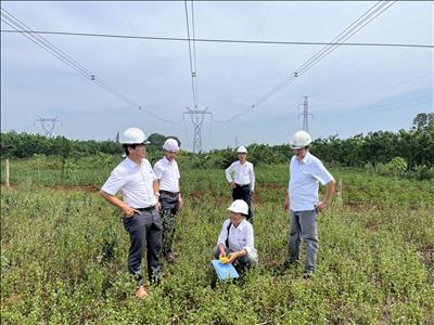 Truyền tải điện Quảng Trị triển khai nhiều giải pháp đảm bảo vận hành an toàn trong mùa nắng nóng