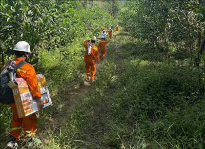 Công ty Truyền tải điện 2 khẩn trương phòng chống cơn bão số 4