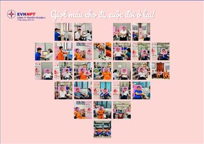 Đội Truyền tải điện TP. Hồ Chí Minh 1 tham gia Tuần lễ hồng EVN lần thứ XI 