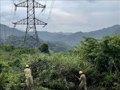 TTĐ Tây Bắc 2 thực hiện phòng chống cháy hành lang an toàn lưới điện: Đảm bảo vận hành an toàn mùa nắng nóng