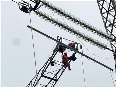 TTĐ Hà Nội quyết tâm thi công sửa chữa lớn đường dây 500kV Thường Tín – Nho Quan về đích đúng hẹn