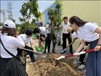 Ban Nữ công Công ty Truyền tải điện 2 tổ chức nhiều hoạt động nhân Ngày Quốc tế Phụ nữ