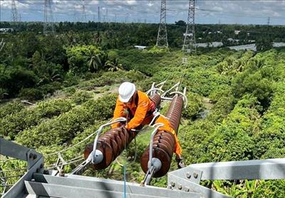 Truyền tải điện Cần Thơ chủ động thực hiện các giải pháp phòng ngừa, giảm sự cố do sét 
