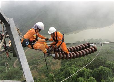 Quý I năm 2024, sản lượng điện truyền tải của PTC2 tăng 23,81% so với cùng kỳ năm 2023