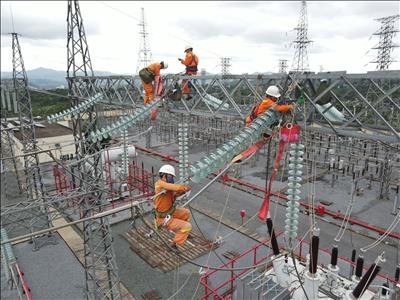 Công ty Truyền tải điện 2 chủ động triển khai công tác phòng chống thiên tai và tìm kiếm cứu nạn năm 2026