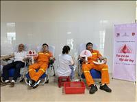 Công ty Truyền tải điện 2 hưởng ứng Tuần lễ hồng EVN lần XI