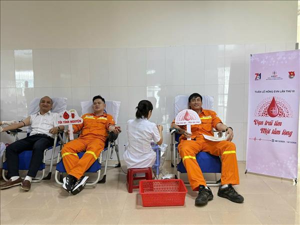 Công ty Truyền tải điện 2 hưởng ứng Tuần lễ hồng EVN lần XI
