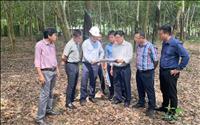 Phó Tổng giám đốc EVNNPT Bùi Văn Kiên kiểm tra thực địa Dự án đường dây 500kV Bình Dương 1 - Chơn Thành