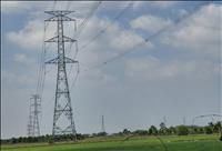 EVNNPT hoàn thành thêm 2 dự án truyền tải điện ở miền Nam trước thềm năm mới 2026