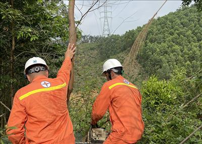 Đảm bảo phòng chống cháy, an toàn hành lang lưới điện truyền tải trong mùa nắng nóng 2023