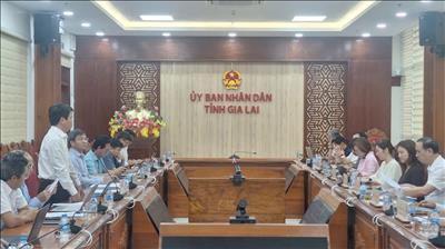 EVNNPT và ADB làm việc với UBND tỉnh Gia Lai về thẩm định tài trợ vốn ODA cho Dự án đường dây 500kV Bình Định - Krông Buk