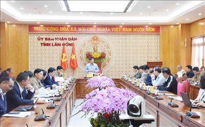 Lâm Đồng thành lập Ban Chỉ đạo thúc đẩy các dự án năng lượng trên địa bàn 