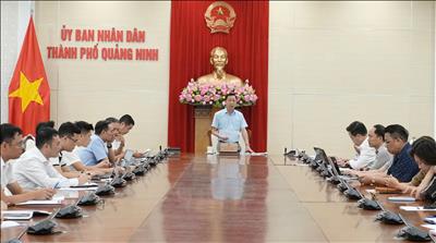 Tập trung tháo gỡ mặt bằng, bảo đảm tiến độ các dự án truyền tải điện tại Quảng Ninh