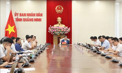Chủ tịch UBND tỉnh Quảng Ninh họp tháo gỡ vướng mắc các dự án lưới điện truyền tải