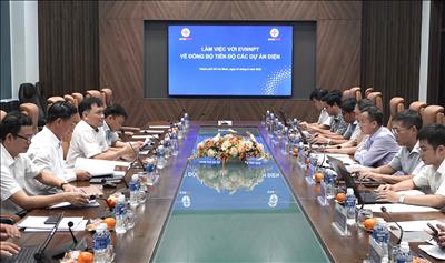EVNNPT và EVNSPC tăng cường phối hợp đồng bộ tiến độ các dự án lưới điện, đáp ứng nhu cầu phát triển phụ tải khu vực phía Nam