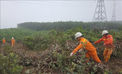 EVNNPT yêu cầu tăng cường phòng cháy, chữa cháy hành lang bảo vệ đường dây truyền tải điện