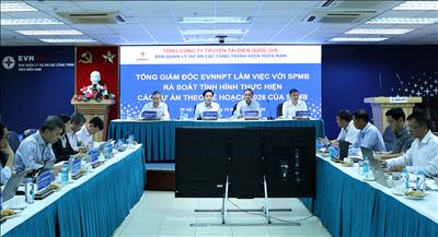 Ban QLDA các công trình điện miền Nam cần quyết liệt hơn nữa để đẩy nhanh tiến độ các dự án