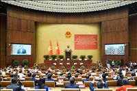 Đảng ủy EVNNPT tham dự Hội nghị toàn quốc quán triệt, triển khai thực hiện Nghị quyết số 66 và Nghị quyết số 68 của Bộ Chính trị