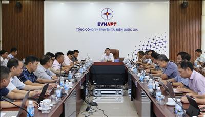 Ban QLDA Truyền tải điện nỗ lực vượt khó hoàn thành nhiều dự án truyền tải điện quan trọng 