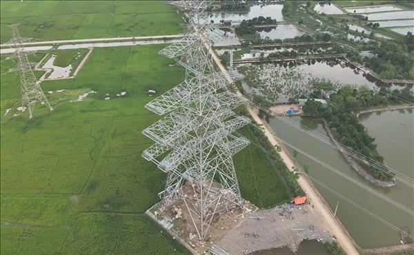 Hoàn thành giai đoạn 1 thi công đoạn tuyến đi chung 6 mạch của Dự án đường dây 500/220kV Nho Quan – Phủ Lý – Thường Tín