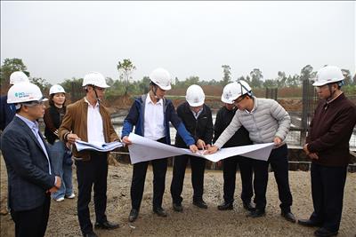 Nỗ lực đảm bảo tiến độ Dự án đường dây 500kV mạch 3 cung đoạn Nam Định – Thanh Hóa