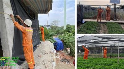 Chủ động xây dựng phương án ứng phó với bão số 9 để đảm bảo vận hành an toàn lưới điện truyền tải khu vực phía Bắc