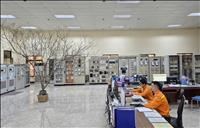 Những “người lính truyền tải điện” âm thầm giữ mạch sáng của Tổ quốc để Nhân dân vui Xuân đón Tết