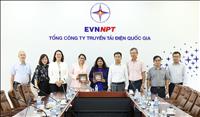 EVNNPT Holds Working Session with the World Bank on Financing Arrangements for Power Transmission Projects