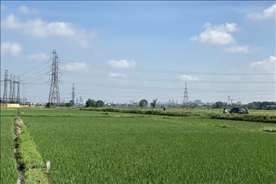 Nỗ lực đẩy nhanh tiến độ dự án Đường dây 500/220kV Nho Quan - Phủ Lý - Thường Tín