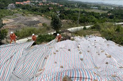 PTC1 chủ động ứng phó bão TALIM, đảm bảo vận hành an toàn lưới điện truyền tải khu vực phía Bắc