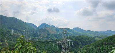 Nỗ lực hoàn thành Dự án đường dây 220kV đấu nối TBA 220kV Bắc Quang